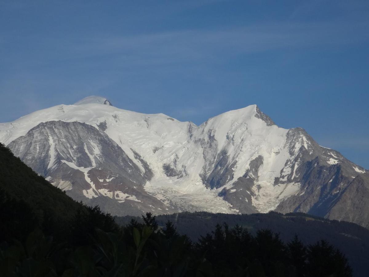 Mont Blanc Holidays Dans Residence Avec Gardien Sallanches Kültér fotó